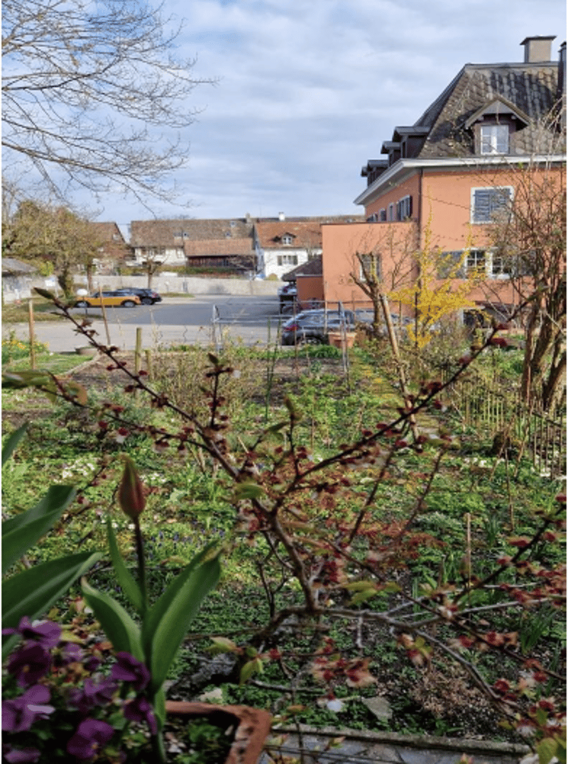Charmantes 5-Zimmerhaus mit Gartenidylle im alten Dorfkern von Feldmeilen (8)