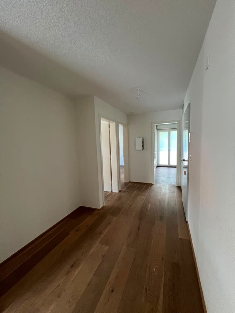 Lichtdurchflutete 4.5-Zimmer-Wohnung mit grosszügigem Badezimmer und moderner Ausstattung (4)