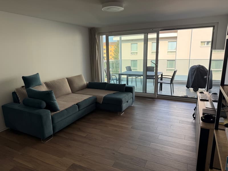 Attraktive 2.5-Zimmerwohnung mit grosser Terrasse (1)