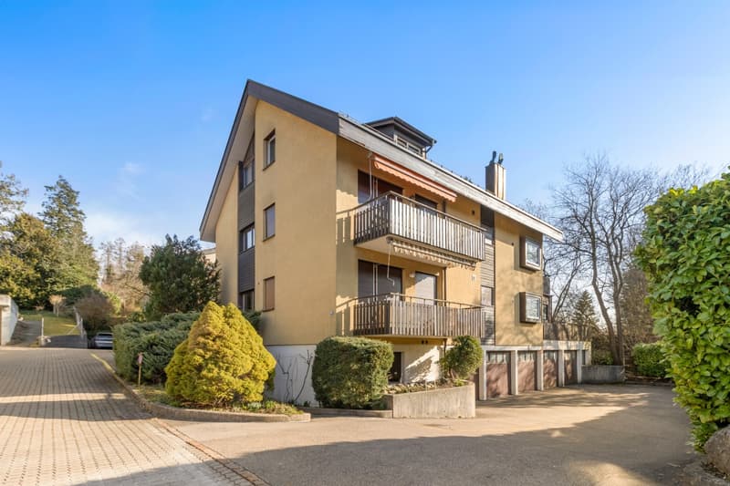 Frisch renovierte Erdgeschosswohnung (1)