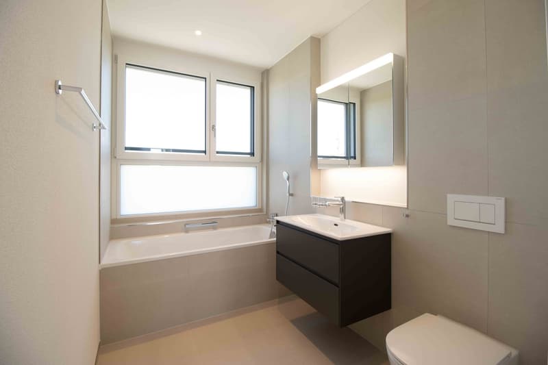 Exklusive Alterswohnungen mit Weitblick 3.5-Zimmer-Attikawohnung im Bachpark Widen (5)