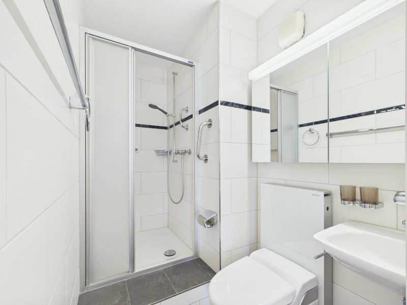 5½-Zimmer-Attikawohnung in Muri b. Bern (13)