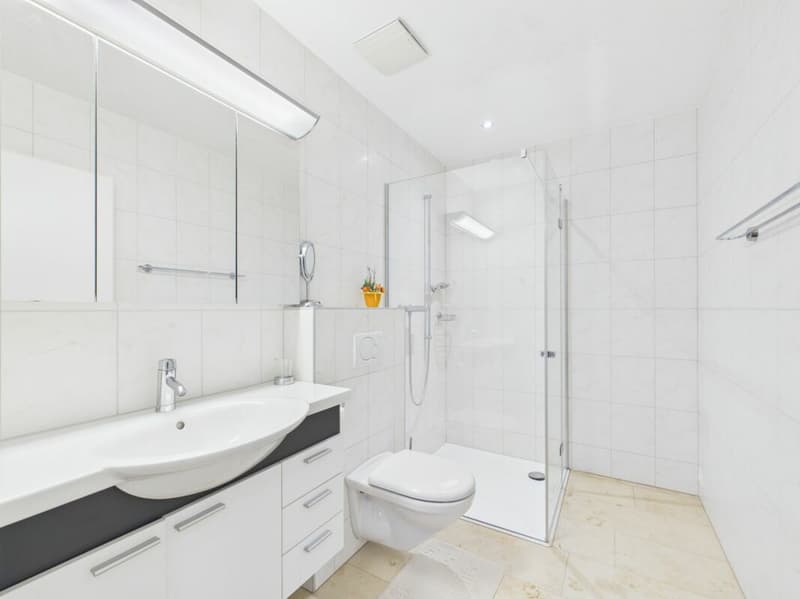 Exklusives 5½-Zimmer-Terrassenhaus mit Weitsicht (18)