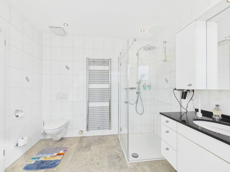 Exklusives 5½-Zimmer-Terrassenhaus mit Weitsicht (14)