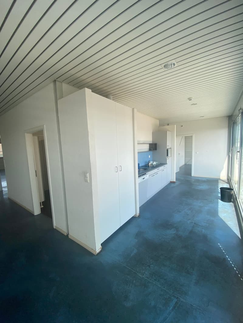 Living room, kitchen, hallway, bathroom, entrance