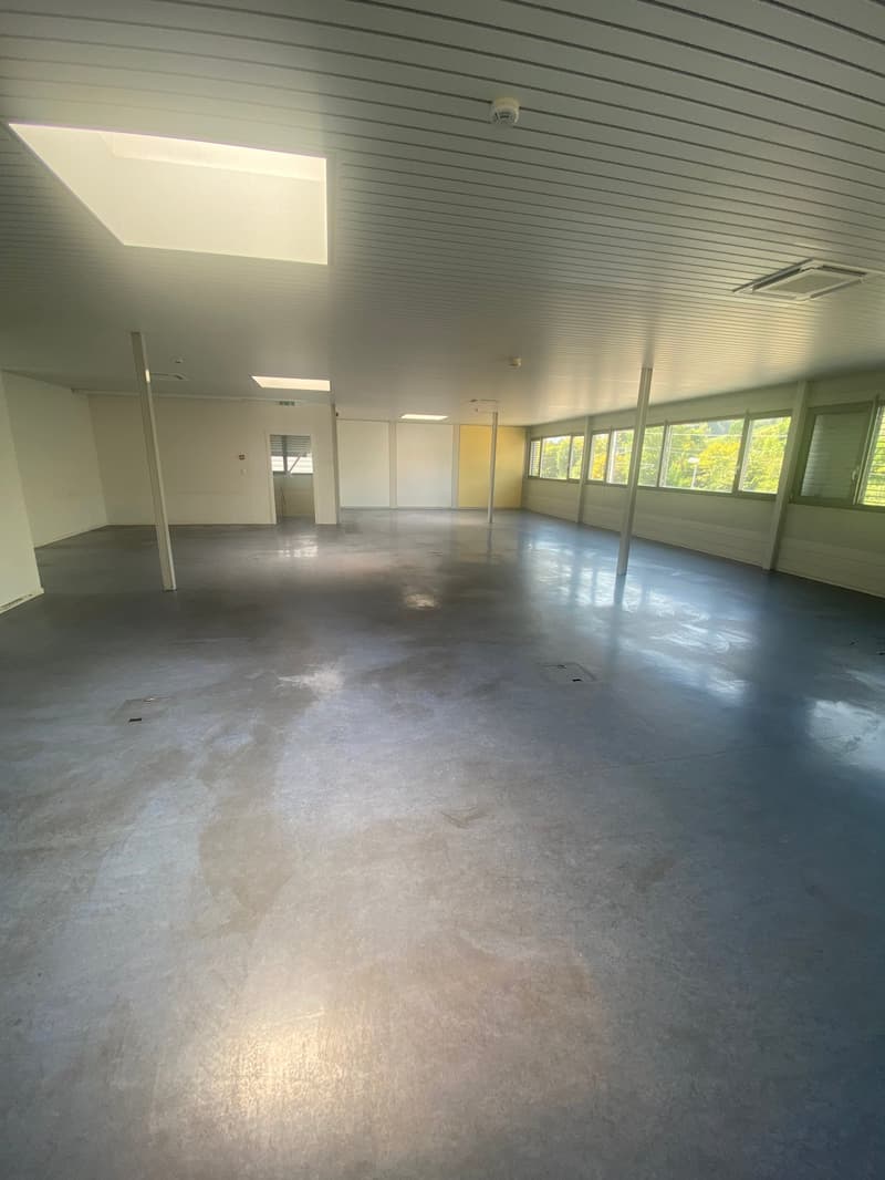 Empty room, concrete flooring, high ceiling, windows, skylight, pillars.