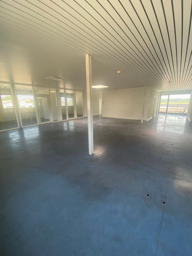 Open space office with glass walls, gray concrete floor, and white ceilings with metal beams.