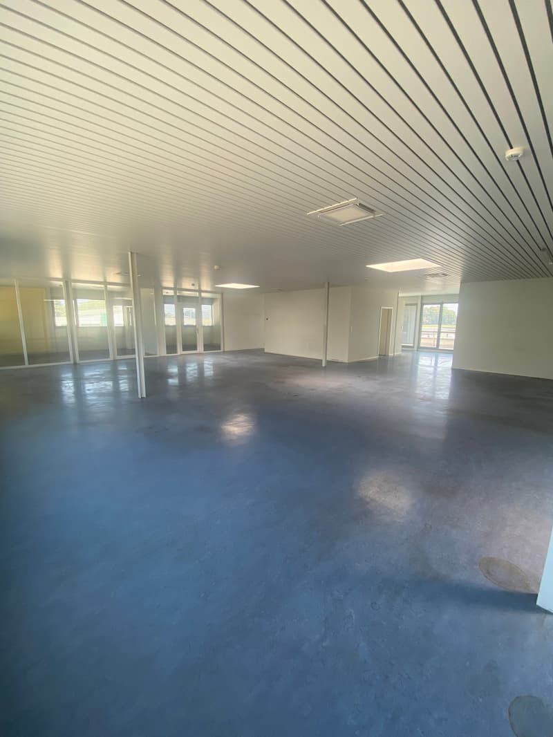 Empty warehouse with blue floor, white walls, ceiling with vertical beams, glass doors, and small ceiling windows.