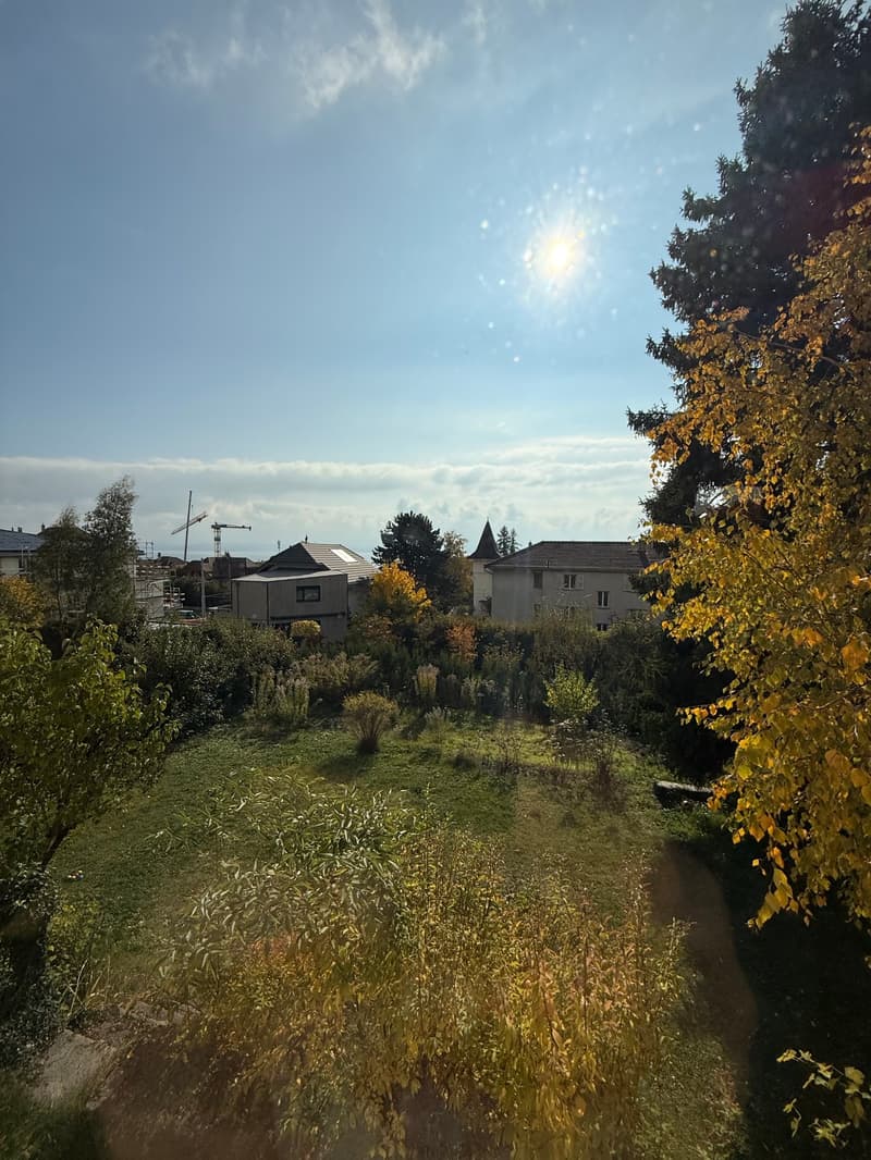 large grassy area, scattered trees, bushes, buildings in the distance, and a clear sky