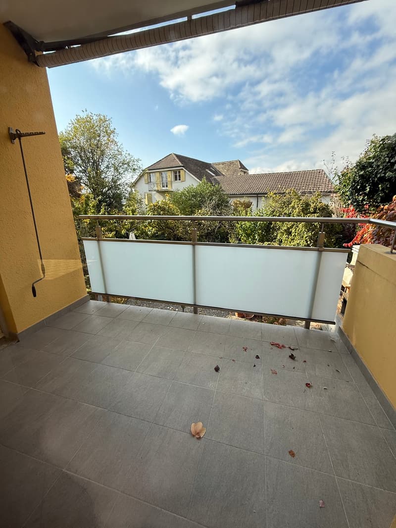Terrace with glass railing, gray tiled floor, metal handrail, clear view of blue sky and foliage