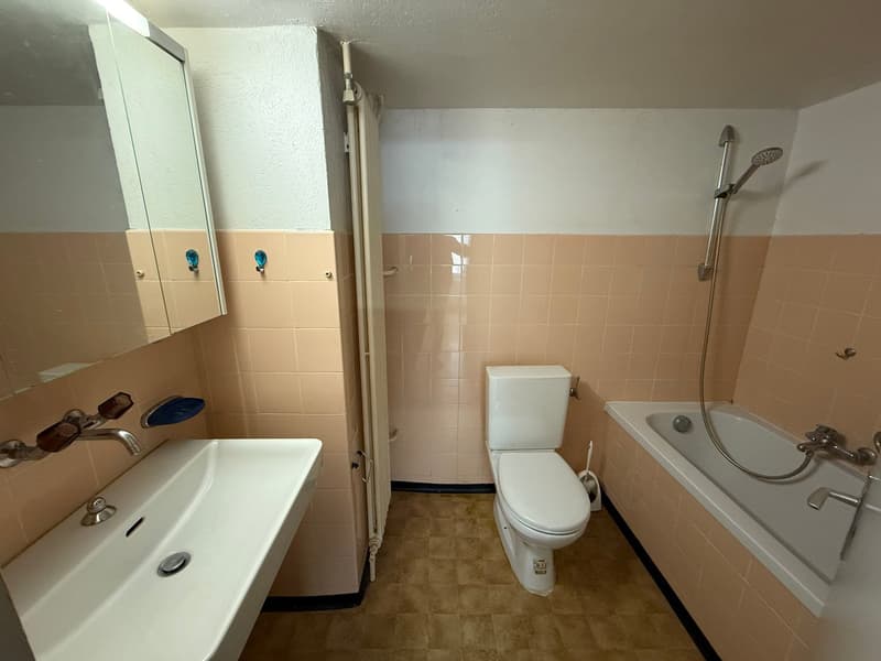 Duplex de 3,5 pièces à Milvignes (7)