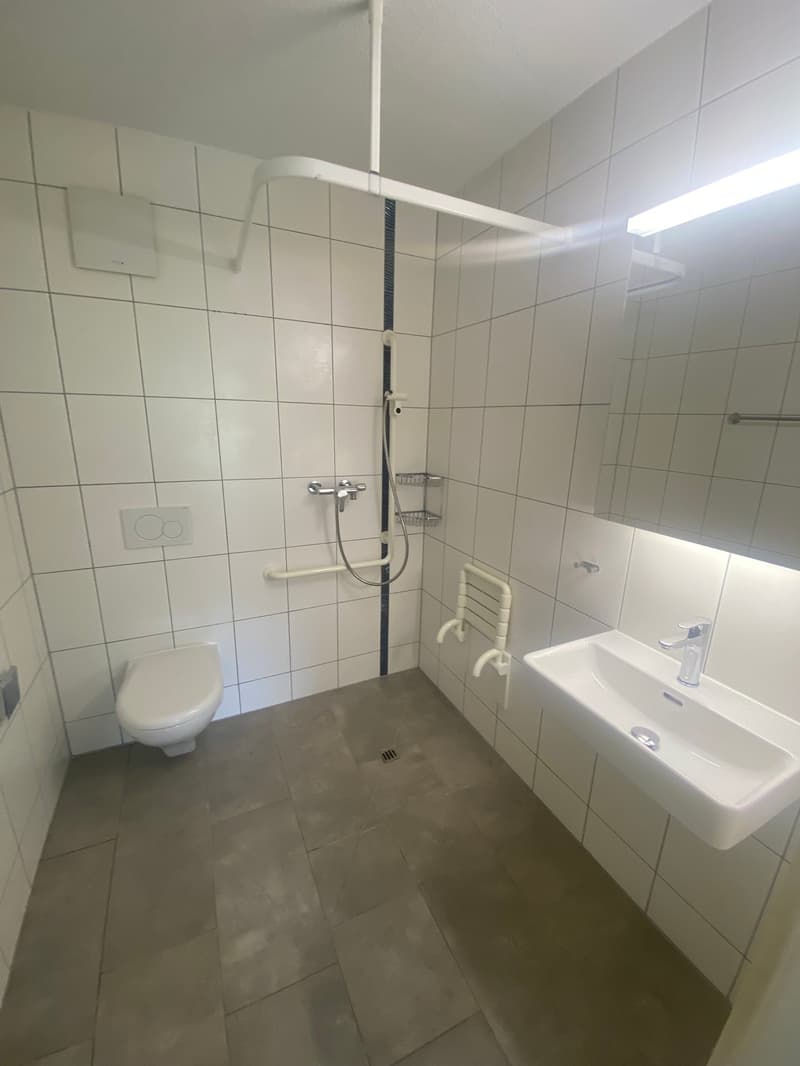 Bathroom with white tiles, white toilet, white sink, shower with handrail, mirror, and light