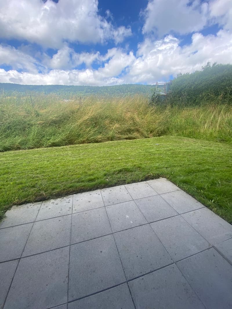 A paved area with a view of a grassy field and a mountain range in the distance