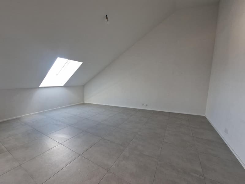 Spacieux appartement de 10.5 pièces avec ascenseur à Milvignes (4)