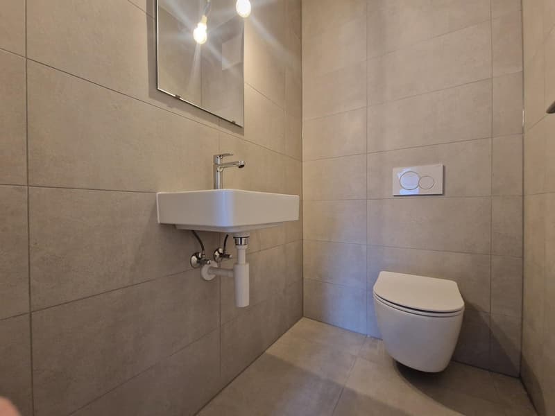 Spacieux appartement de 10.5 pièces avec ascenseur à Milvignes (11)
