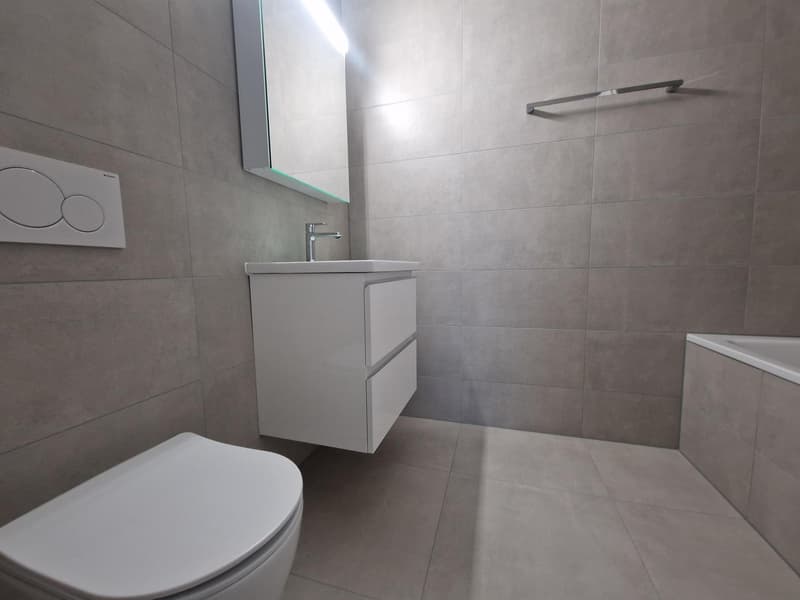 Spacieux appartement de 10.5 pièces avec ascenseur à Milvignes (10)