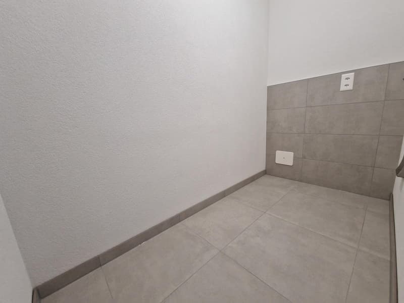 Spacieux appartement de 10.5 pièces avec ascenseur à Milvignes (12)