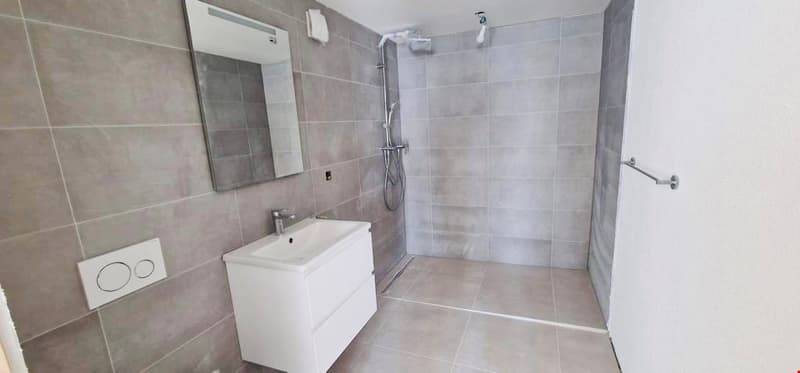 modern bathroom with shower, sink, mirror, and tiled walls