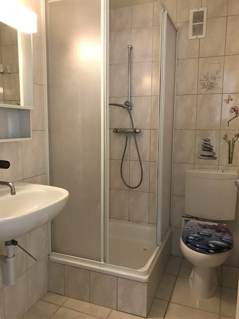 Bathroom with shower, sink, toilet, and decorative tiles