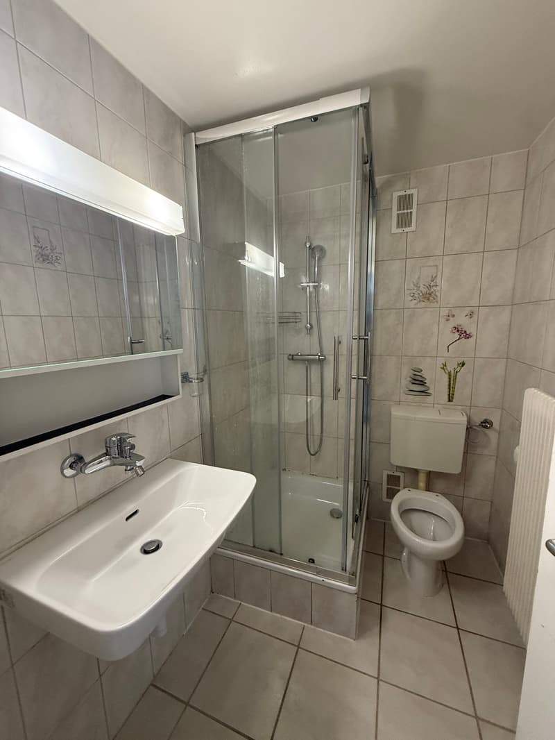 Duplex de 4,5 pièces au cœur de La Chaux-de-Fonds (10)