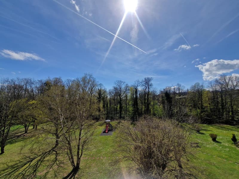 Magnifique appartement de 5,5 pièces avec vue exceptionnelle à Areuse (16)