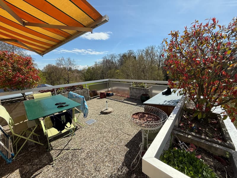 Magnifique appartement de 5,5 pièces avec vue exceptionnelle à Areuse (14)