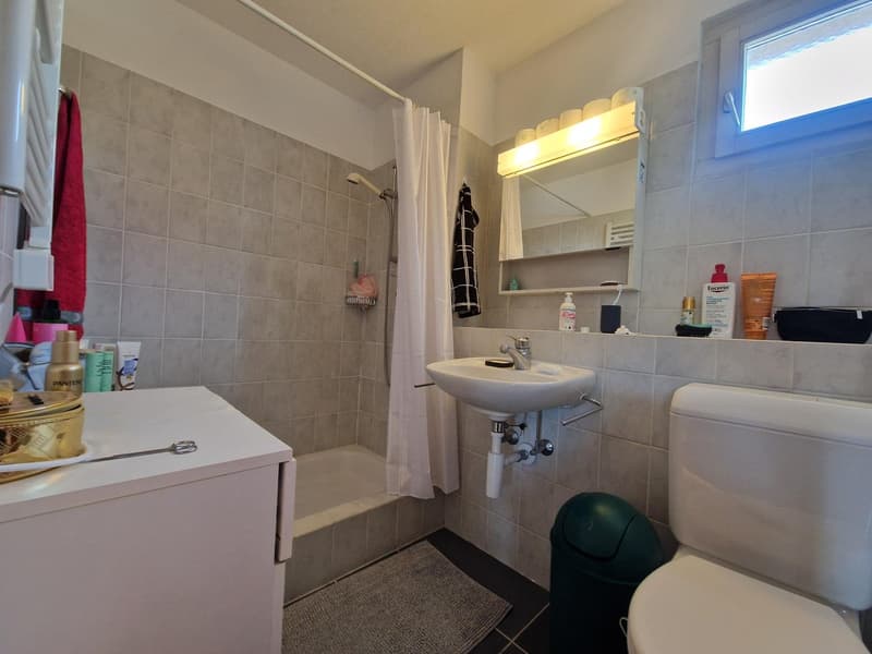 Magnifique appartement de 5,5 pièces avec vue exceptionnelle à Areuse (13)