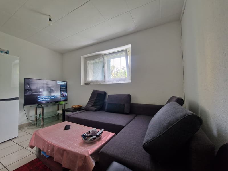Charmant appartement 2 pièces au rez-de-chaussée à Neuchâtel (1)
