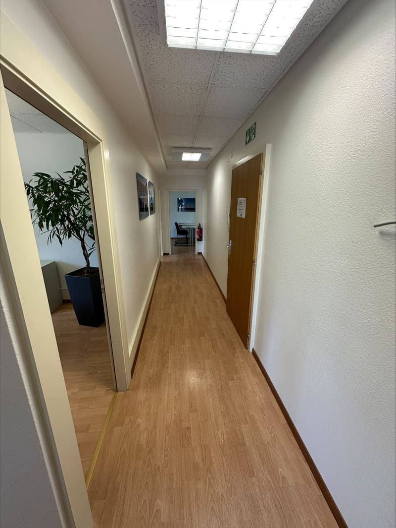 Bureau lumineux de 4 pièces au cœur de Neuchâtel (13)