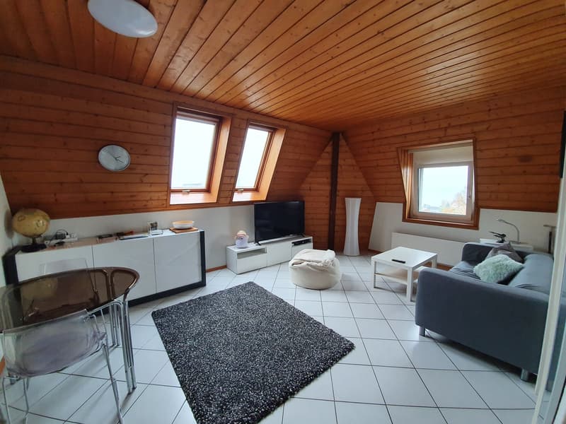 Charmant appartement de 2 pièces à Neuchâtel (1)