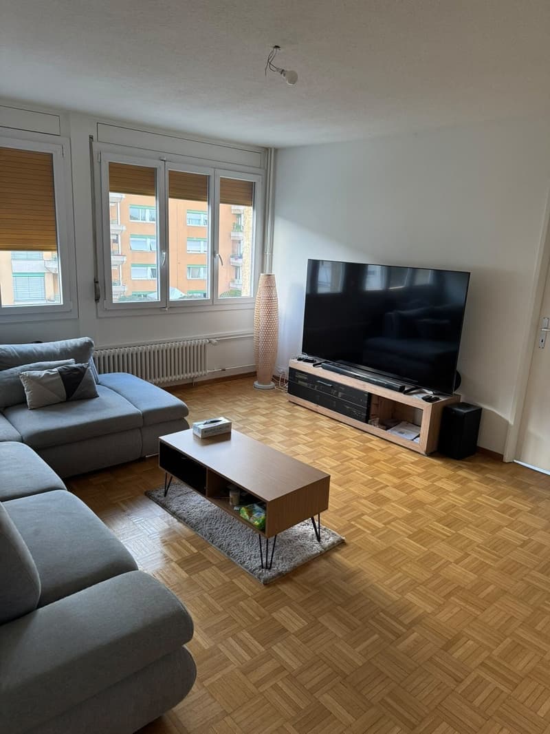 Appartement lumineux de 2 pièces avec vue panoramique à Neuchâtel (2)