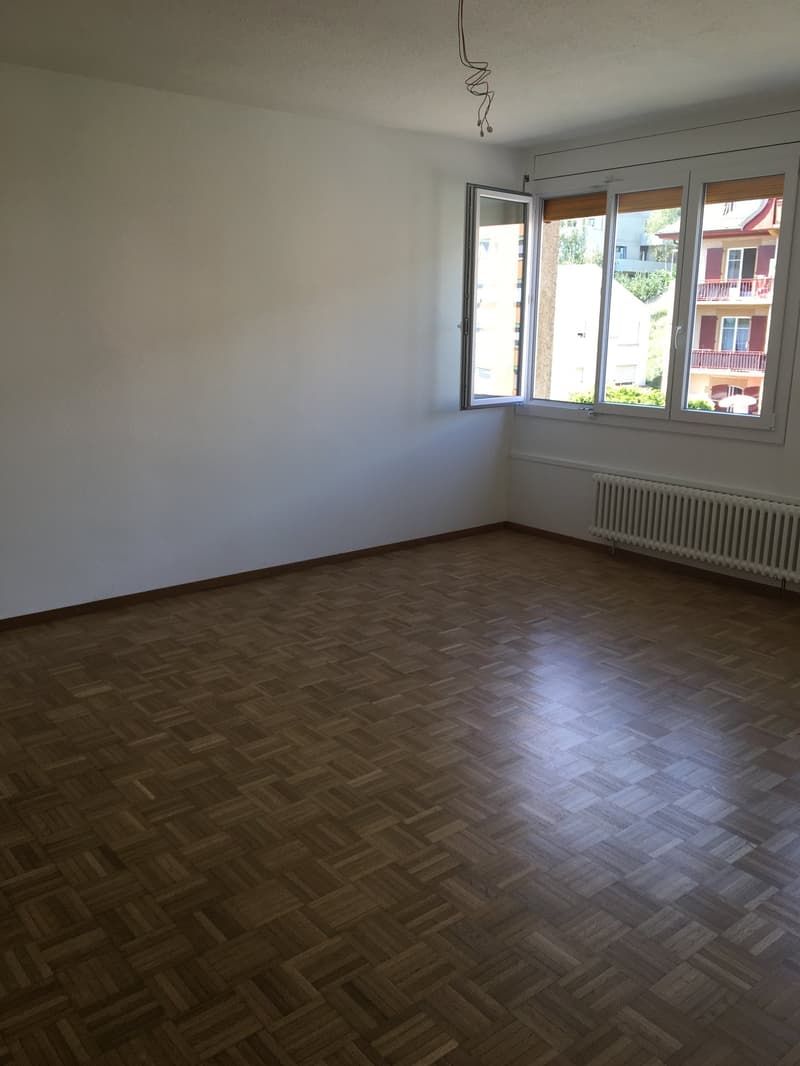Appartement lumineux de 2 pièces avec vue panoramique à Neuchâtel (2)