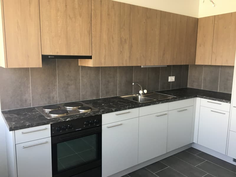Appartement lumineux de 2 pièces avec vue panoramique à Neuchâtel (1)