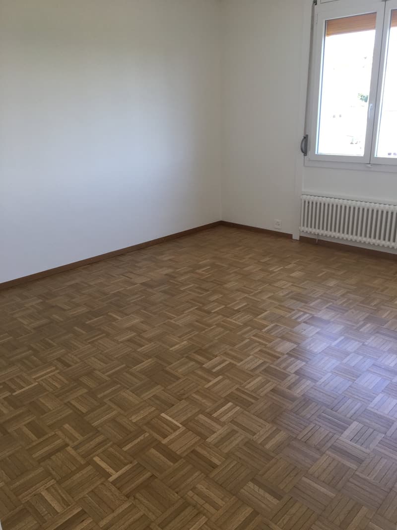 Appartement lumineux de 2 pièces avec vue panoramique à Neuchâtel (3)