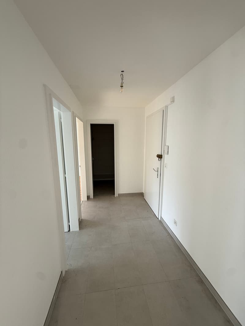 Appartement 2 pièces entièrement rénové avec balcon à Cressier (5)