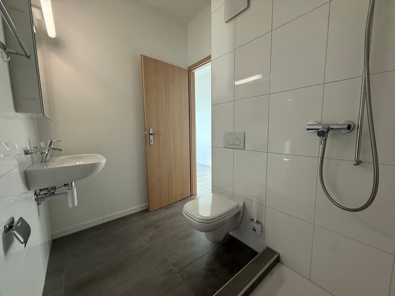 Magnifique appartement en attique de 5.5 pièces – Vue exceptionnelle et prestations haut de gamme (11)