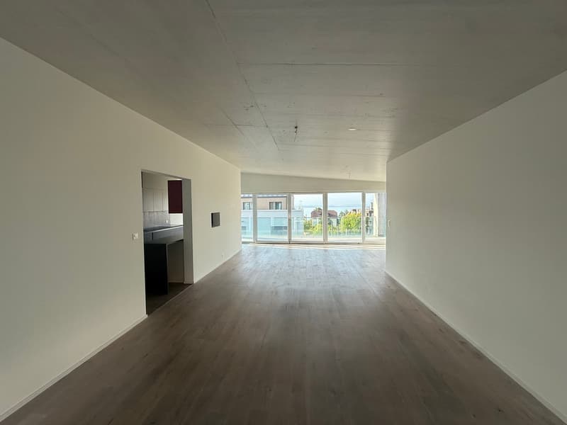 Magnifique appartement en attique de 5.5 pièces – Vue exceptionnelle et prestations haut de gamme (1)