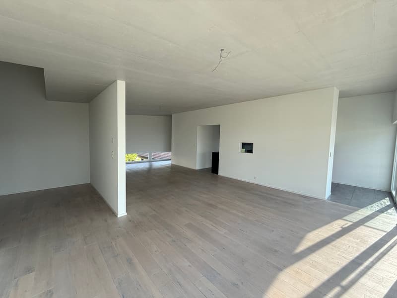 Magnifique appartement en attique de 5.5 pièces – Vue exceptionnelle et prestations haut de gamme (2)