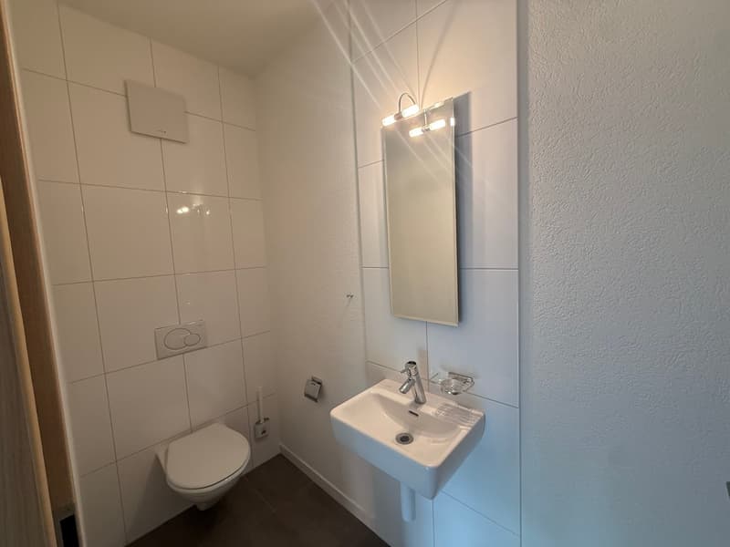 Magnifique appartement en attique de 5.5 pièces – Vue exceptionnelle et prestations haut de gamme (5)