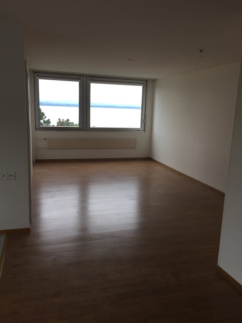 Appartement 3 pièces avec vue sur le lac à Neuchâtel (3)