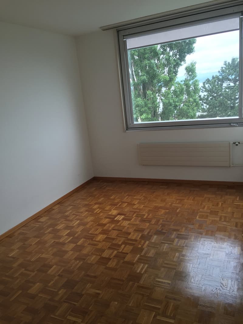 Appartement 3 pièces avec vue sur le lac à Neuchâtel (7)