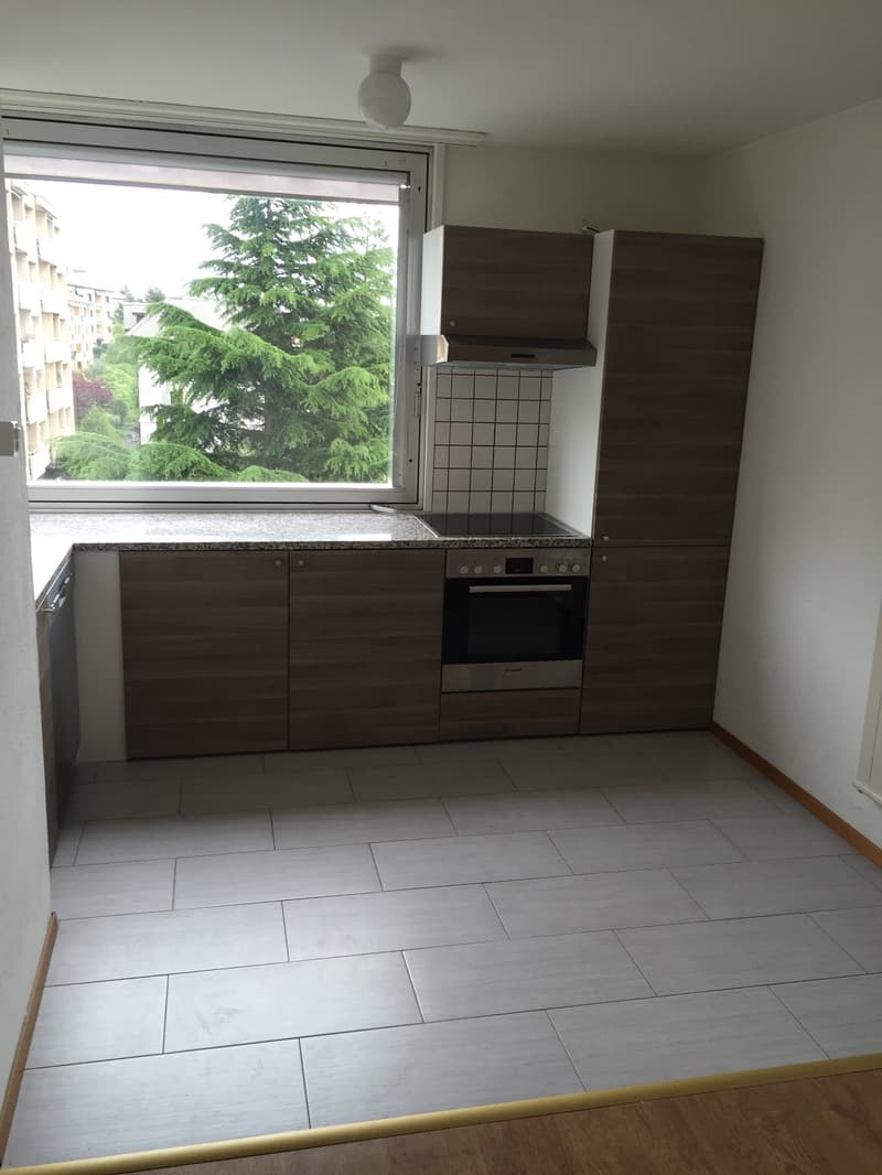 Appartement 3 pièces avec vue sur le lac à Neuchâtel (1)