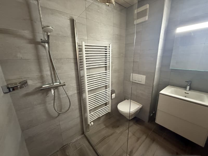 Charmantes 4-Zimmer-Wohnung im Herzen von Cressier (8)