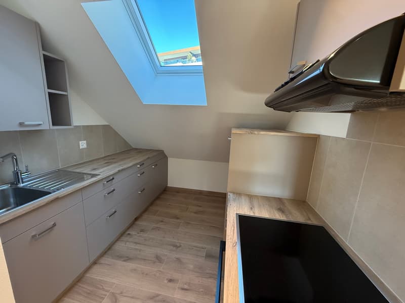 Studio entièrement rénové à Neuchâtel (1)