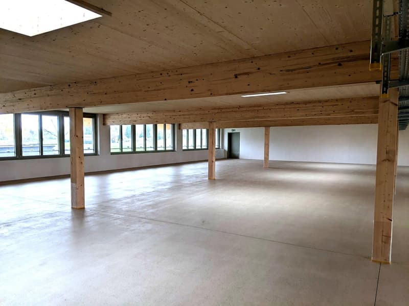 large open space, wooden beams, concrete floor, large windows, ceiling lights