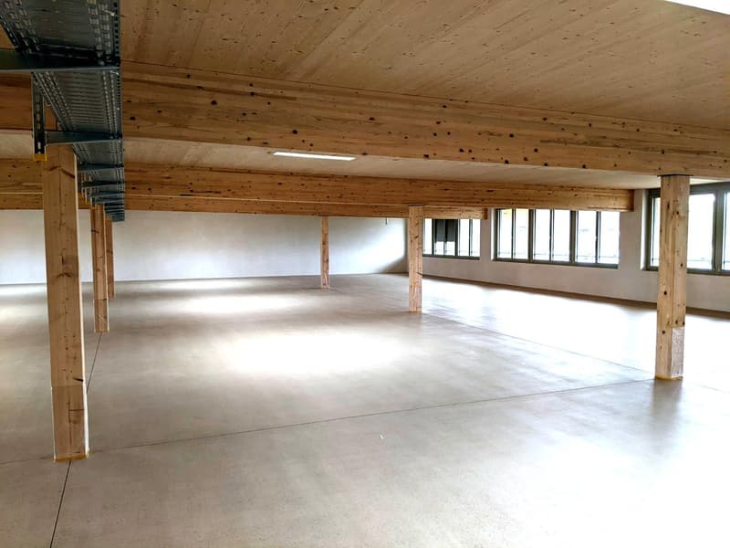 large open space, wooden beams, concrete floor, large windows