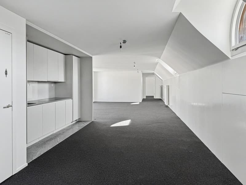 Espace de bureau attractif avec terrasse au cœur de Zurich (3)