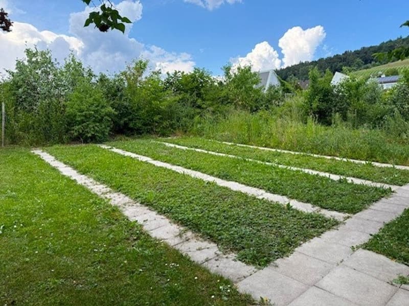Bild2.jpg