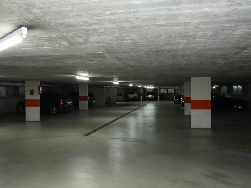 P1000347.JPG