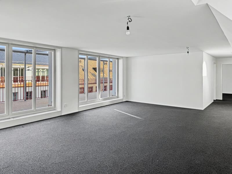 Attraktive Bürofläche mit Terrasse im Herzen von Zürich (6)